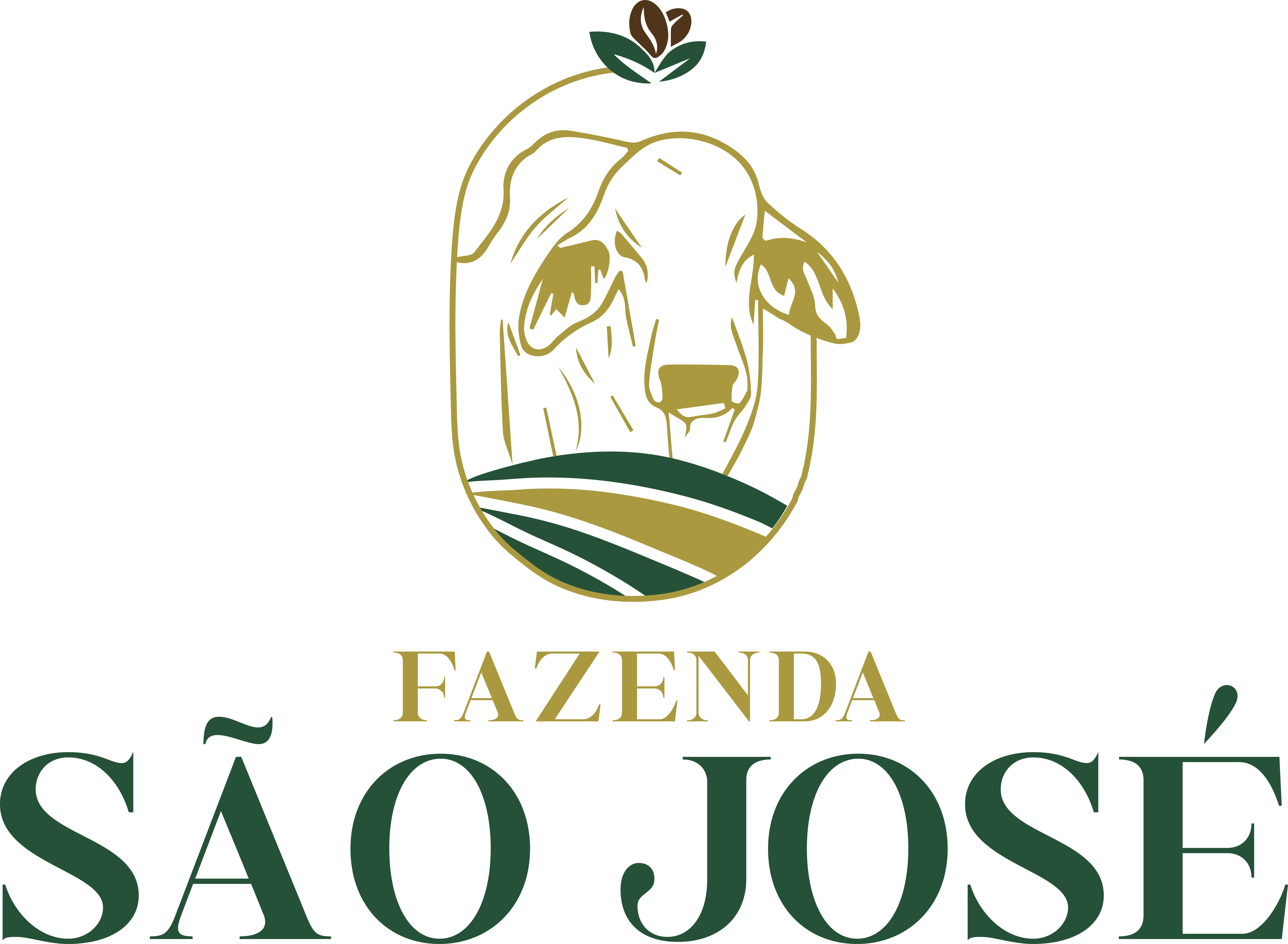 Parceiro 1